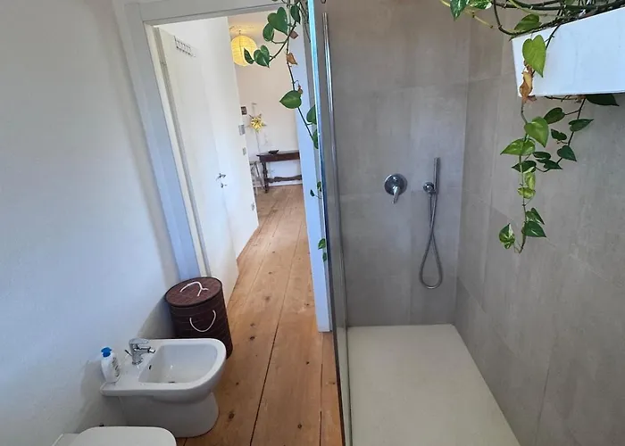 Alberi * 보르고 산 달마쪼