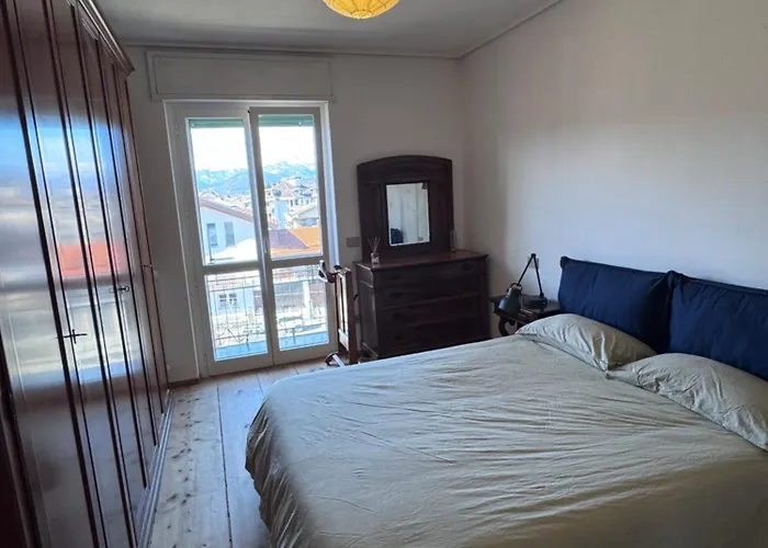 Alberi * 보르고 산 달마쪼